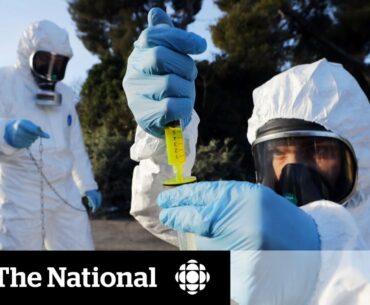 A new coronavirus variant spreads through Brazil