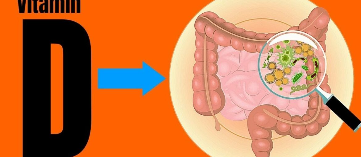 Gut bacteria and vitamin D: What is the link?