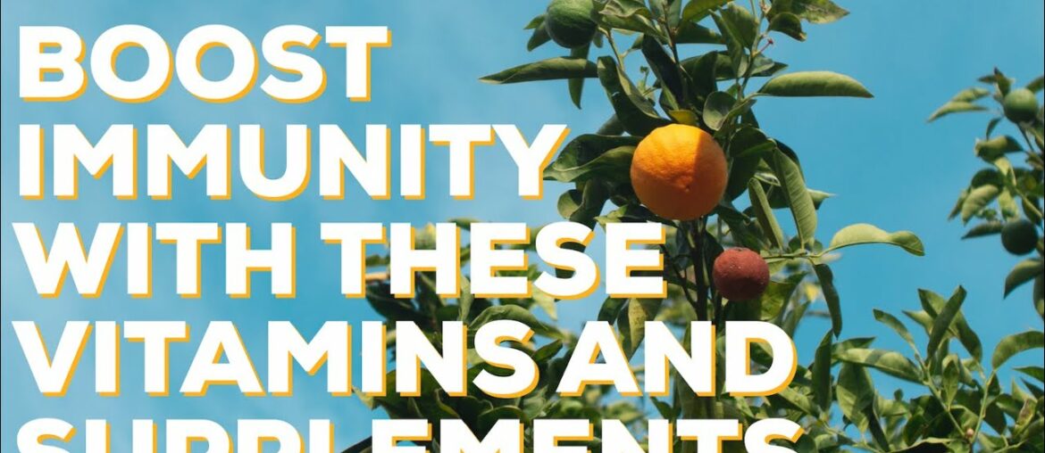 4 Vitamins and Supplement To Support Your Immune System