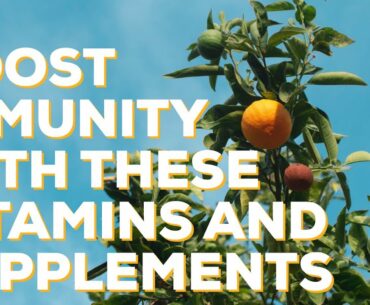 4 Vitamins and Supplement To Support Your Immune System
