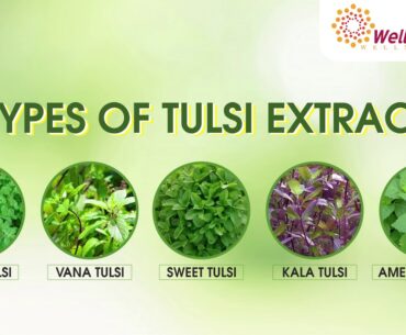 TULSI VARDAAN IMMUNITY BOOSTER DROPS