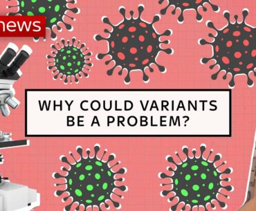 COVID-19: What is a variant?