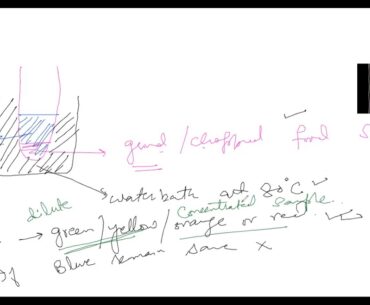 Animal nutrition (Part 1)