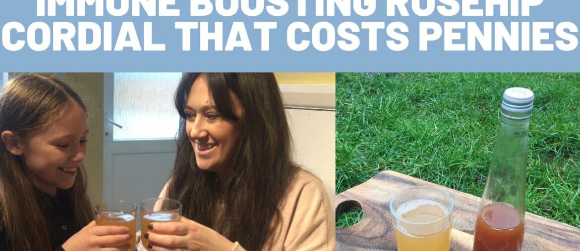 Immune boosting Rosehip cordial for pennies!