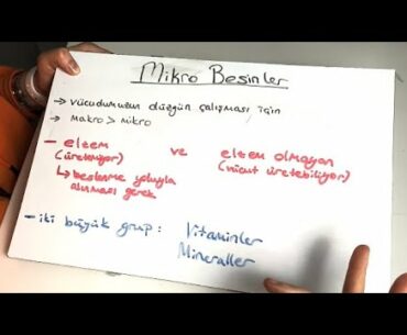 Mikro Besin Nedir? | Fitness & Bodybuilding | Cansu 06