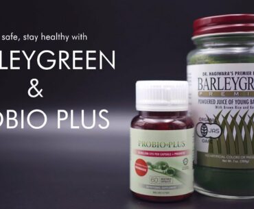 Improve your Immune System with Wellness Synergy Program