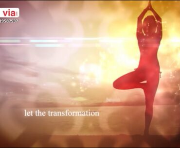 Wellness Essentials - Health Retreat, Jim Corbett