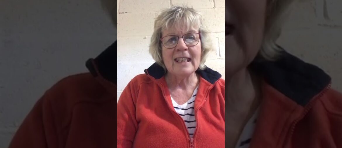 Fat Fibs Signature Show - Vitamins