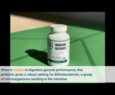 A Review Of Best Vitamin For Immune System