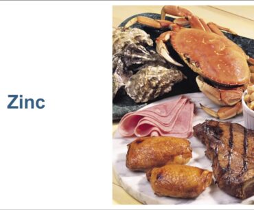 Nutritional Modulation of Immune Function