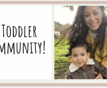 Toddler supplements and vitamins my 2yr old LOVES! | Healthy Immune