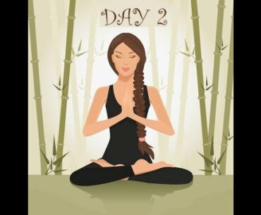 Yogic fitness challenge Day 2
