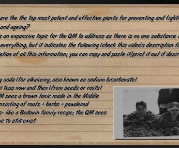 Veronica Jayne:  Top Supplements For Disease Prevention And Longevity