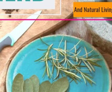 Vitamin C and How it Can Combat Against the Coronavirus/flu and Add Overall Health to Your Body