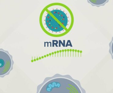 Understanding mRNA COVID-19 vaccines