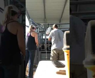 Vitamin Supplements and Vaccinations