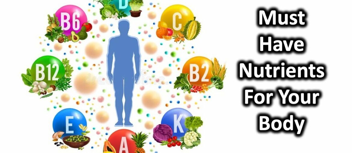 4 Essential Nutrients and Why Your Body Needs Them