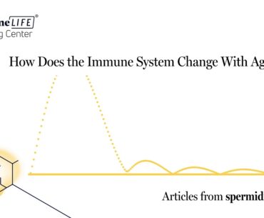 How Does the Immune System Change With Age?