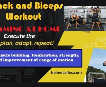 Back and Biceps Home Dumbbell Workout Ep. 42