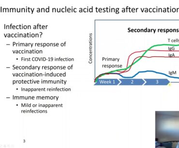 Wear mask during COVID-19 vaccination and herd immunity