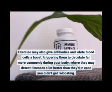 The Best Side Of Foods For Immune System