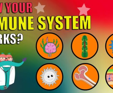 How Does Your Immune System Works?| What Is Immune System? | The Dr Binocs Show | Peekaboo Kidz
