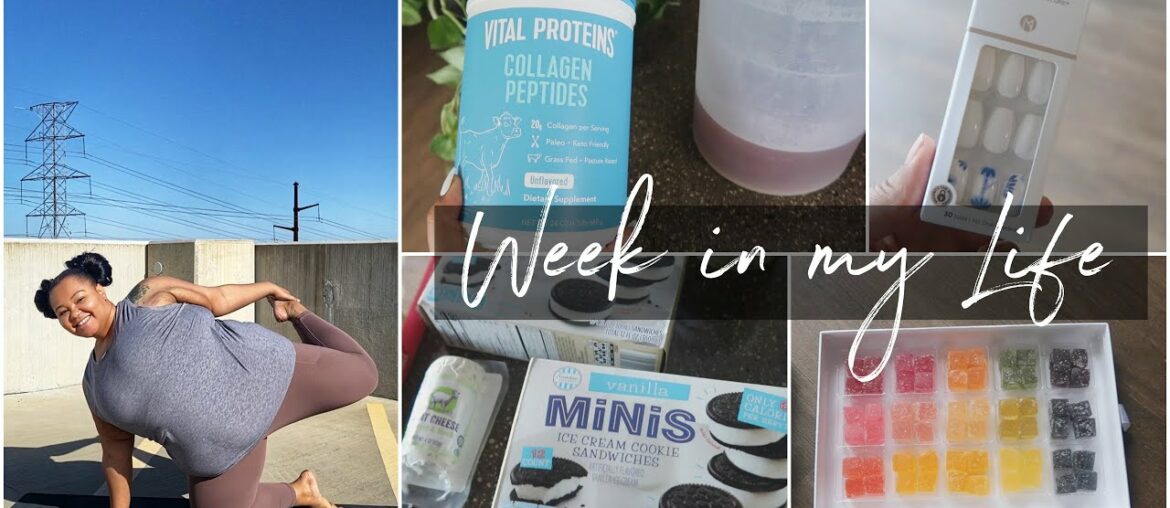 Aldi Haul, Amazing Lasagna, Les Mills Workouts, Vitamin Shoppe Sale! | Edyn Weekly Vlog