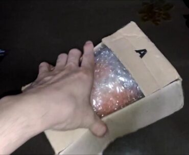 Lazada Unboxing - Kirkland Vitamin C 1000mg