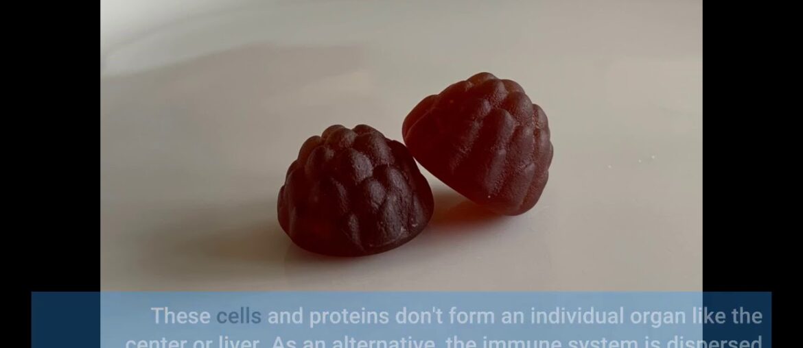 Rumored Buzz On Best Immune System Booster