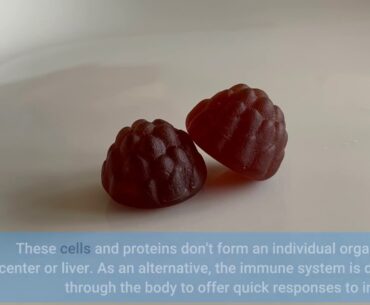 Rumored Buzz On Best Immune System Booster