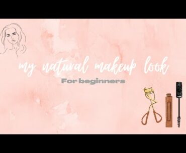 Every day makeup look/ makeup for beginners