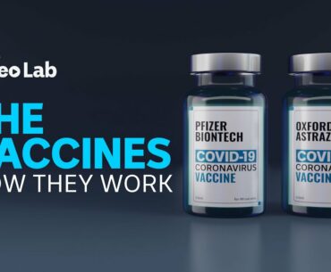 How will the COVID-19 vaccines work once they've been administered? | ABC News