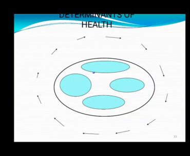 Concept of Health and Vitamins