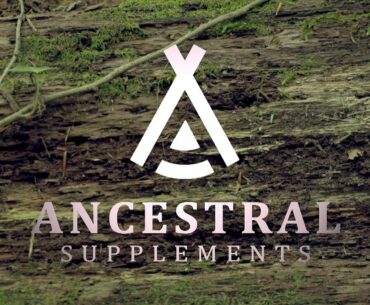 Bovine Tracheal Cartilage - Ancestral Supplements