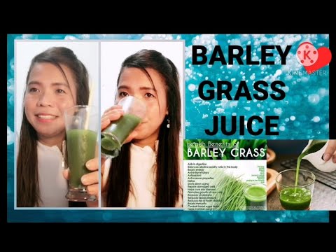 BARLEY GRASS JUICE