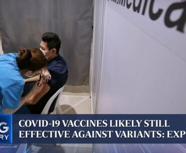 Covid-19 vaccines likely still effective against variants: Expert | THE BIG STORY