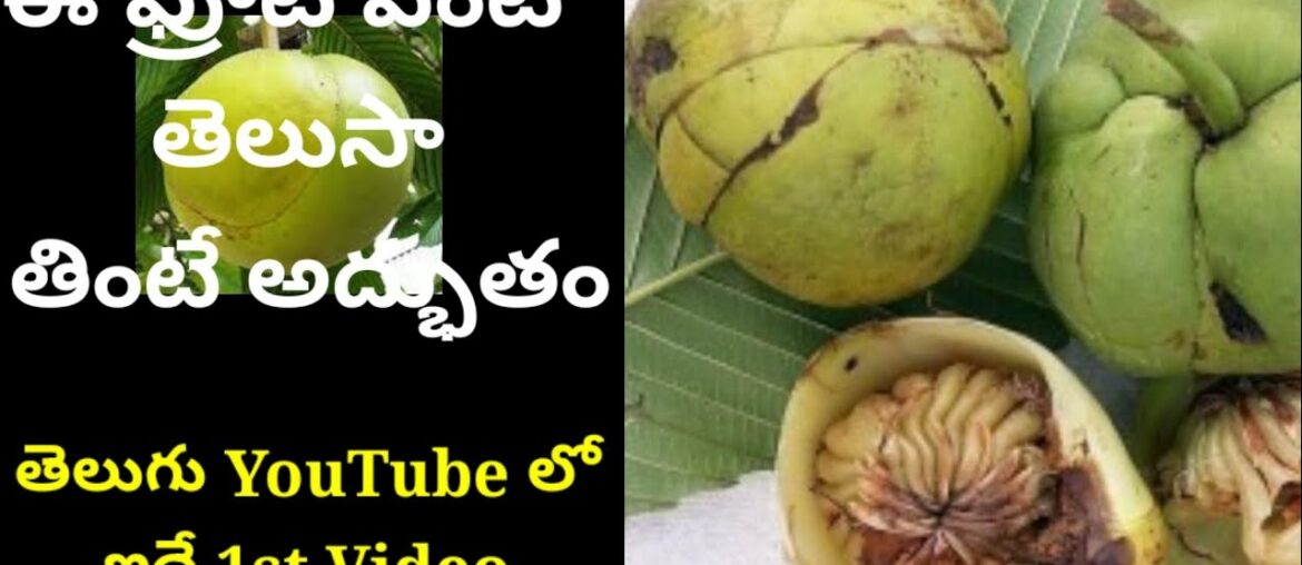 Elephant Apple  | Vitamin A,B,C,E | Silky hair | Skin Glow |  recipe