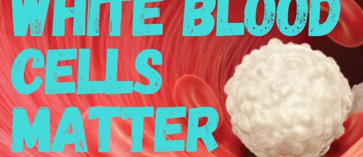 5 Ways To Improve Immune System & Not Get Sick