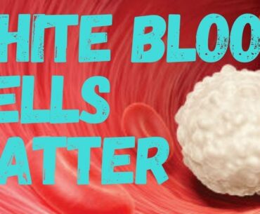 5 Ways To Improve Immune System & Not Get Sick