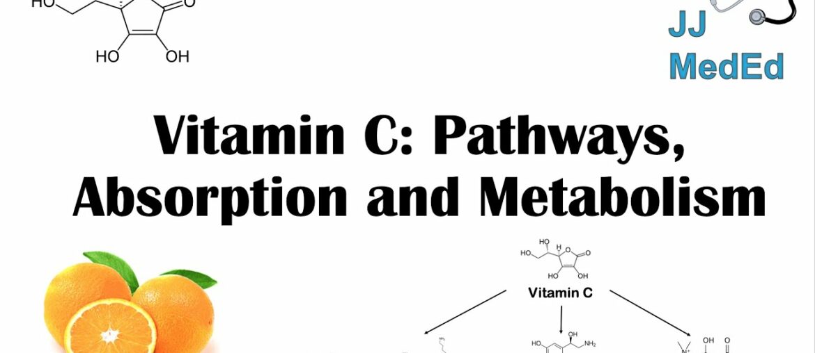 Vitamin C: Why we need it, dietary sources, and how we absorb and metabolize it