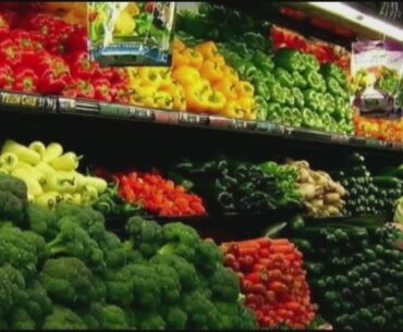 Food for Thought: Proper diet helps optimize the immune system