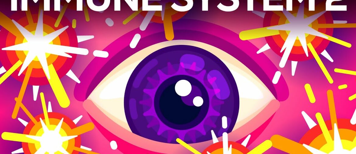 Tiny Bombs in your Blood - The Complement System