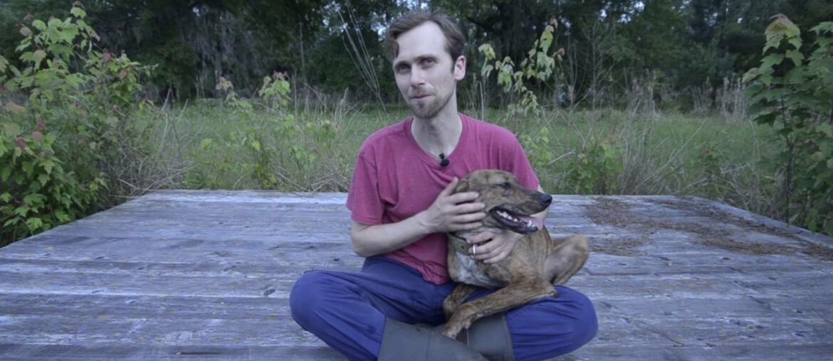 Why Vitamin E is an important part of your dog's diet