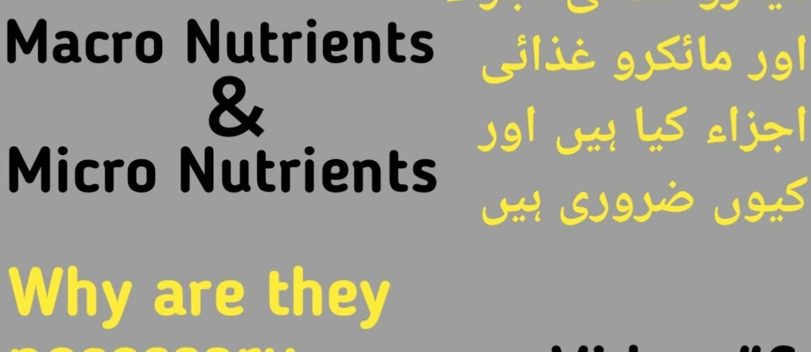 macro & micro nutrients_macro & micro_macros & micros #bodybuildingmotivation #fitness #gym