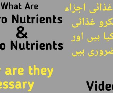 macro & micro nutrients_macro & micro_macros & micros #bodybuildingmotivation #fitness #gym