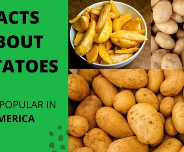 Fast facts About POTATOES! Has vitamins that are in orange!! Popular in AMERICA !!!