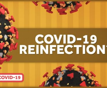 Can You Get Reinfected with Covid?