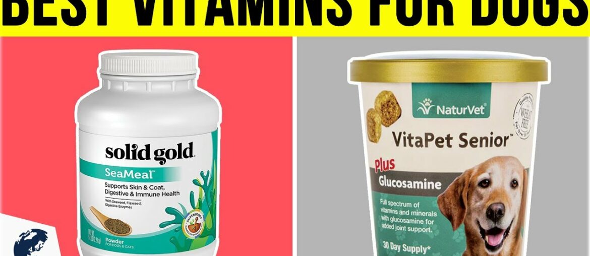 10 Best Vitamins for Dogs 2019