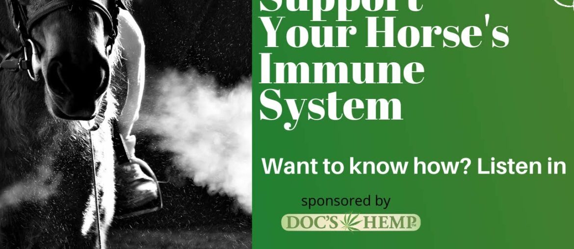Support Your Horse's immune System