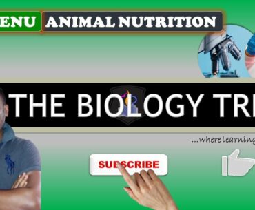 Animal Nutrition | Biology Trivia